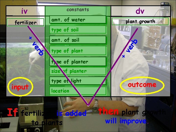 iv dv constants fertilizer amt. of water plant growth type of soil type of