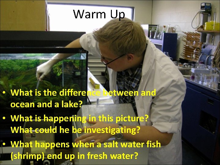 Warm Up • What is the difference between and ocean and a lake? •
