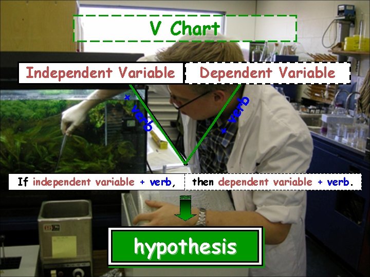 V Chart rb ve ve rb + If independent variable + verb, Dependent Variable