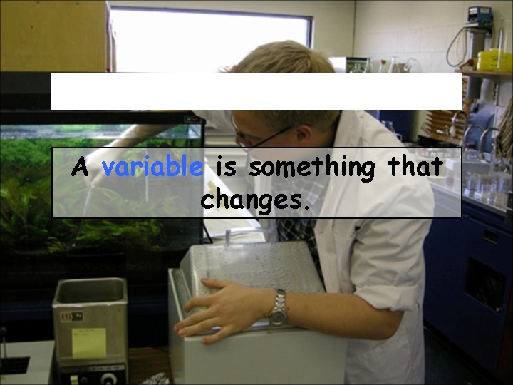 A variable is something that changes. 