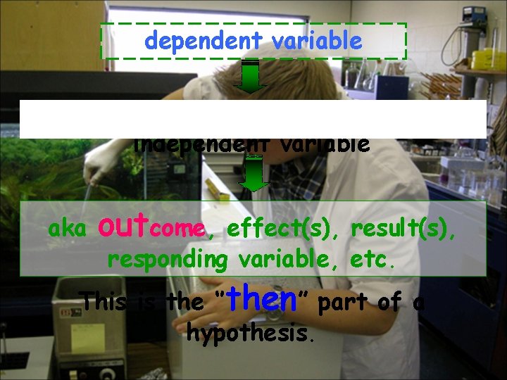 dependent variable the variable that depends on the independent variable aka outcome, effect(s), result(s),