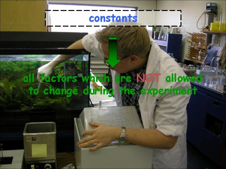 constants all factors which are NOT allowed to change during the experiment 