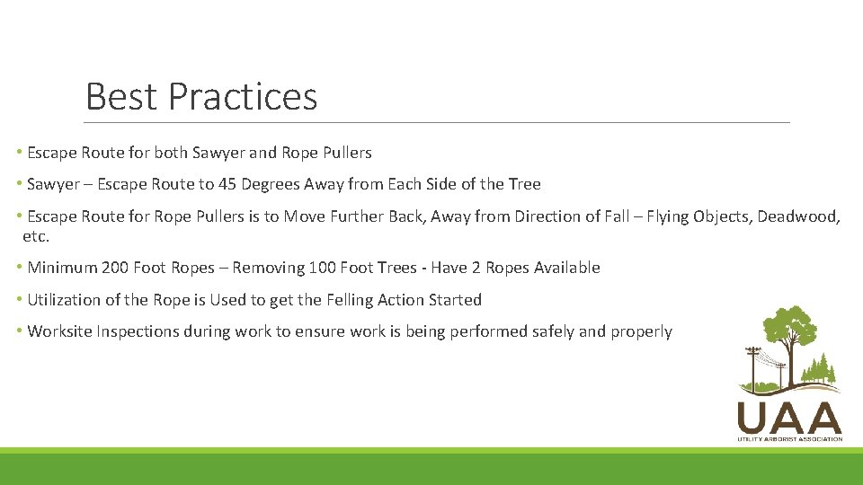Best Practices • Escape Route for both Sawyer and Rope Pullers • Sawyer –