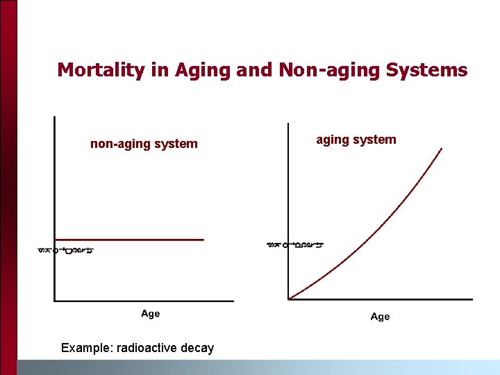 Mortality in Aging and Non-aging Systems non-aging system Example: radioactive decay aging system 