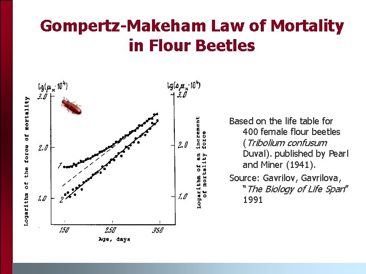 Gompertz-Makeham Law of Mortality in Flour Beetles Based on the life table for 400