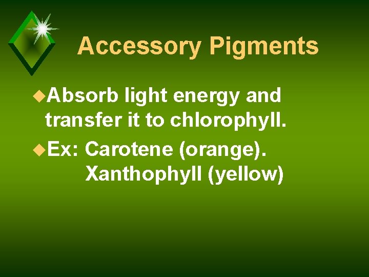 Accessory Pigments u. Absorb light energy and transfer it to chlorophyll. u. Ex: Carotene
