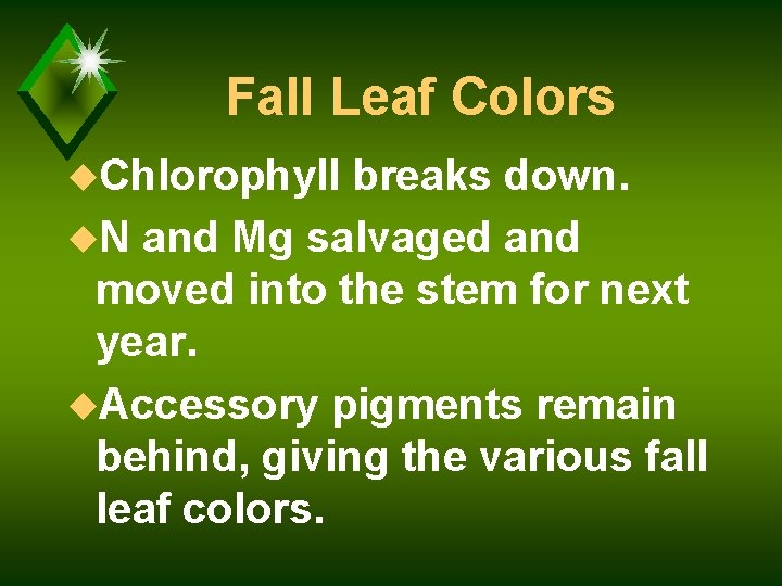 Fall Leaf Colors u. Chlorophyll breaks down. u. N and Mg salvaged and moved