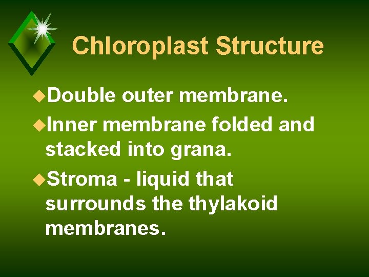 Chloroplast Structure u. Double outer membrane. u. Inner membrane folded and stacked into grana.