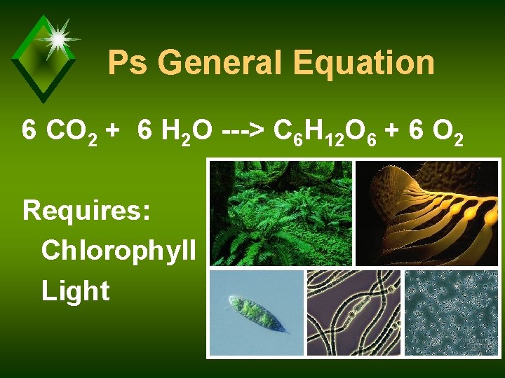Ps General Equation 6 CO 2 + 6 H 2 O ---> C 6