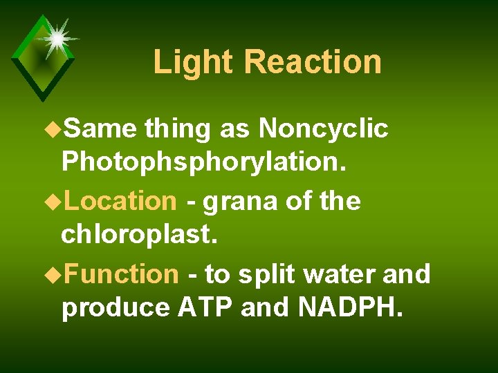 Light Reaction u. Same thing as Noncyclic Photophsphorylation. u. Location - grana of the