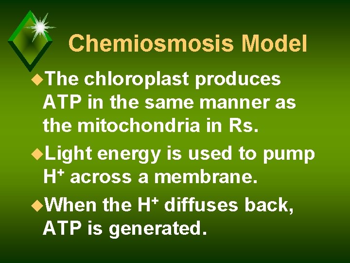 Chemiosmosis Model u. The chloroplast produces ATP in the same manner as the mitochondria