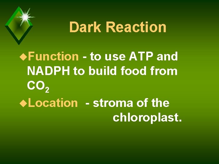 Dark Reaction u. Function - to use ATP and NADPH to build food from