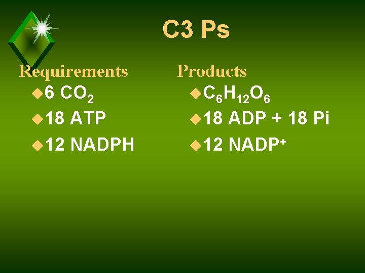 C 3 Ps Requirements u 6 CO 2 u 18 ATP u 12 NADPH