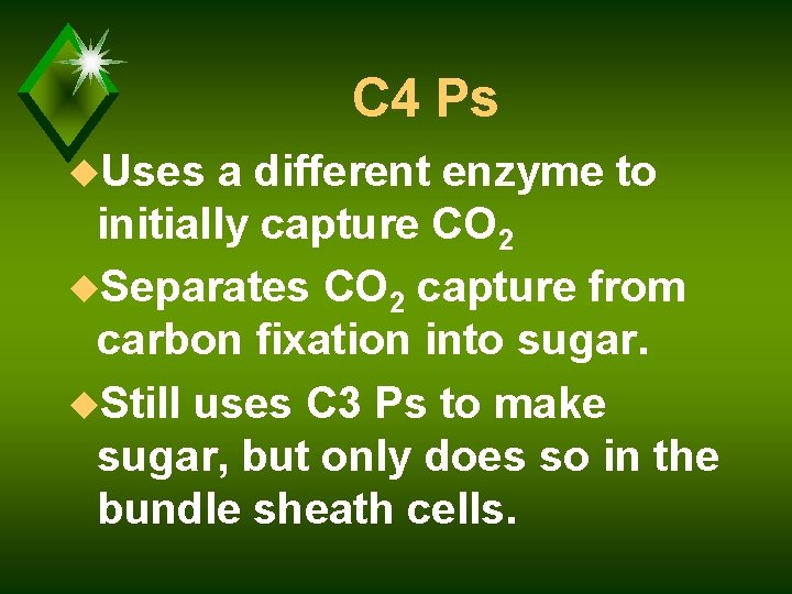 C 4 Ps u. Uses a different enzyme to initially capture CO 2 u.