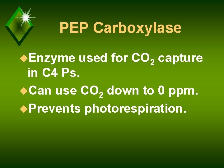 PEP Carboxylase u. Enzyme used for CO 2 capture in C 4 Ps. u.