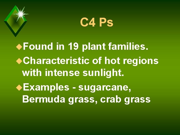 C 4 Ps u. Found in 19 plant families. u. Characteristic of hot regions