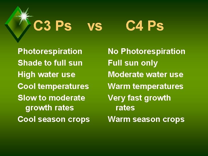 C 3 Ps vs Photorespiration Shade to full sun High water use Cool temperatures