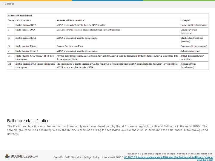 Viruses Baltimore classification The Baltimore classification scheme, the most commonly used, was developed by