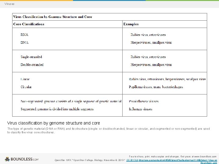 Viruses Virus classification by genome structure and core The type of genetic material (DNA