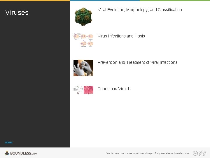Viruses Viral Evolution, Morphology, and Classification Virus Infections and Hosts Prevention and Treatment of