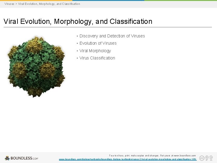 Viruses > Viral Evolution, Morphology, and Classification • Discovery and Detection of Viruses •