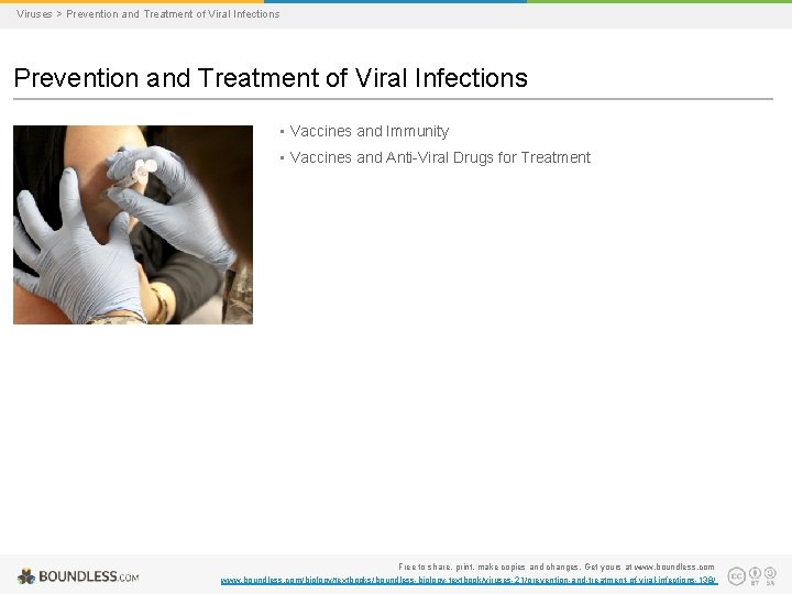 Viruses > Prevention and Treatment of Viral Infections • Vaccines and Immunity • Vaccines