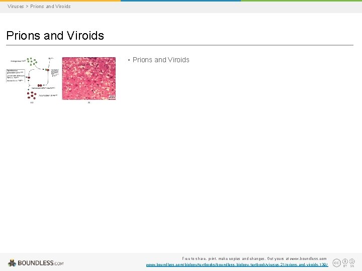 Viruses > Prions and Viroids • Prions and Viroids Free to share, print, make