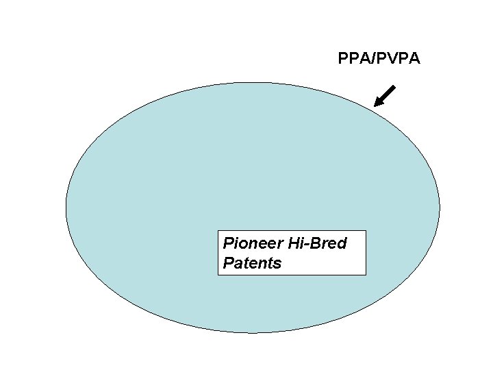 PPA/PVPA Pioneer Hi-Bred Patents 
