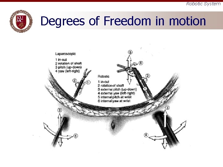Robotic System Degrees of Freedom in motion 