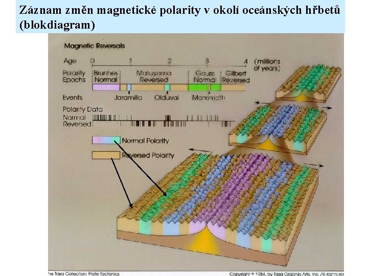 Záznam změn magnetické polarity v okolí oceánských hřbetů (blokdiagram) 