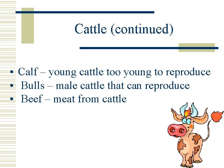 Cattle (continued) • Calf – young cattle too young to reproduce • Bulls –