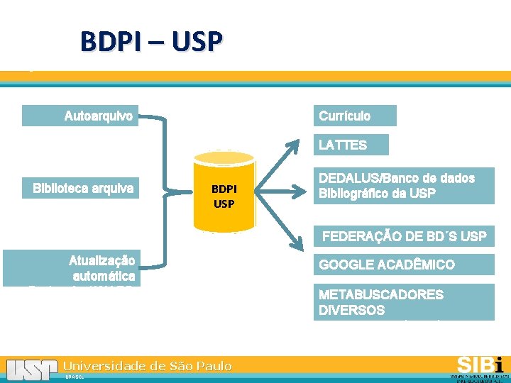 BDPI – USP Autoarquivo Biblioteca arquiva Currículo USP LATTES BDPI USP DEDALUS/Banco de dados