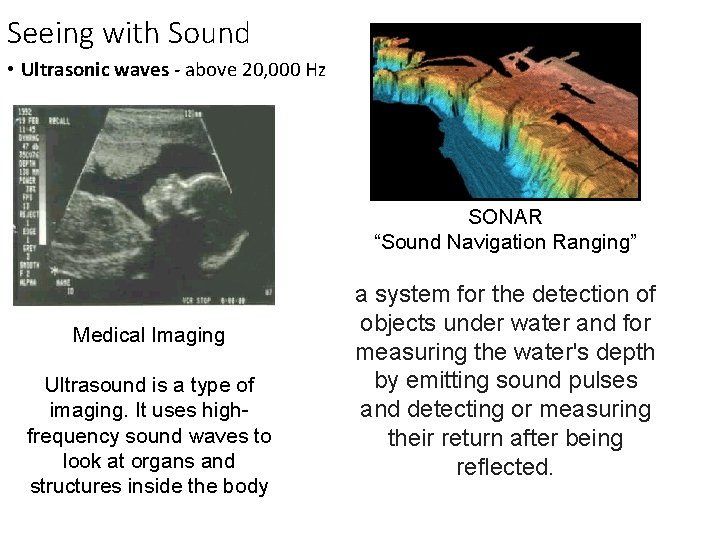 Seeing with Sound • Ultrasonic waves - above 20, 000 Hz SONAR “Sound Navigation