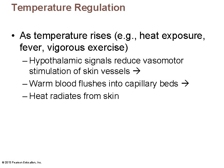 Temperature Regulation • As temperature rises (e. g. , heat exposure, fever, vigorous exercise)