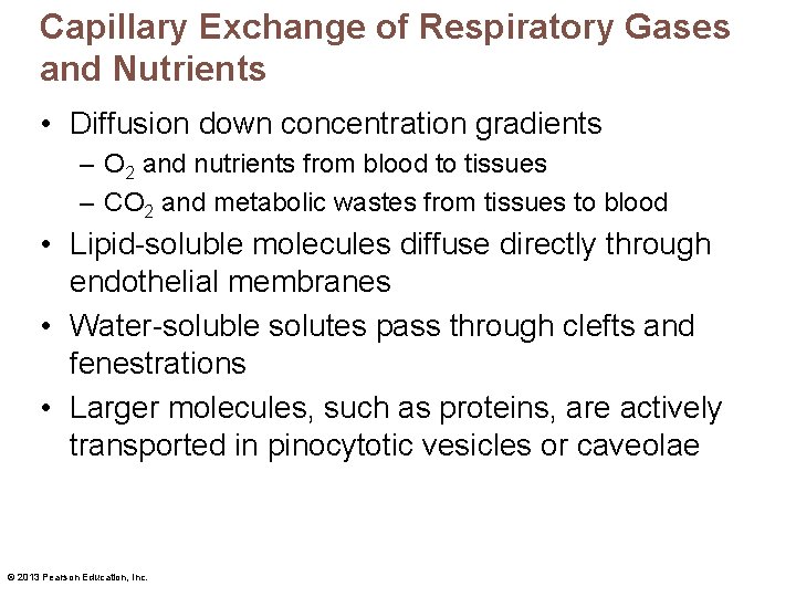 Capillary Exchange of Respiratory Gases and Nutrients • Diffusion down concentration gradients – O