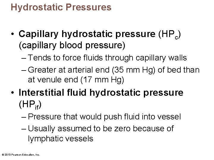 Hydrostatic Pressures • Capillary hydrostatic pressure (HPc) (capillary blood pressure) – Tends to force