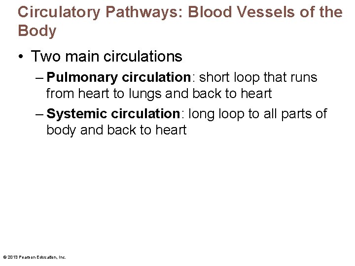 Circulatory Pathways: Blood Vessels of the Body • Two main circulations – Pulmonary circulation: