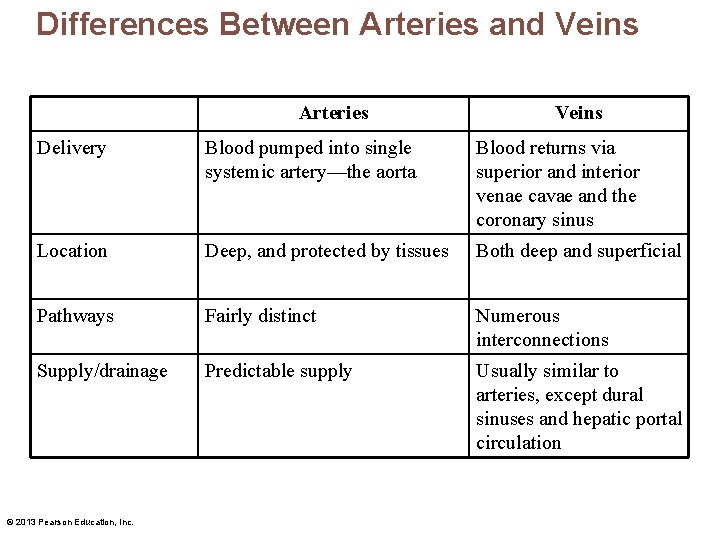 Differences Between Arteries and Veins Arteries Veins Delivery Blood pumped into single systemic artery—the