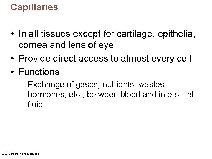 Capillaries • In all tissues except for cartilage, epithelia, cornea and lens of eye