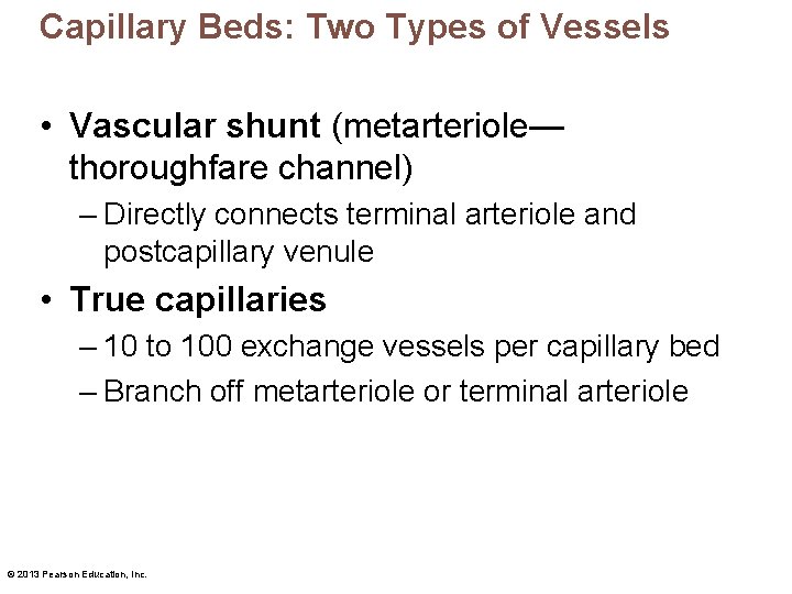 Capillary Beds: Two Types of Vessels • Vascular shunt (metarteriole— thoroughfare channel) – Directly