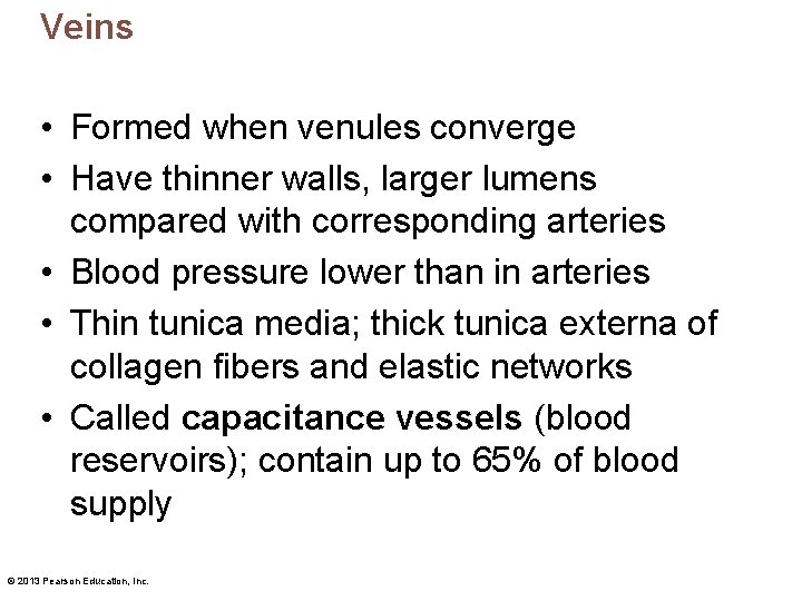 Veins • Formed when venules converge • Have thinner walls, larger lumens compared with