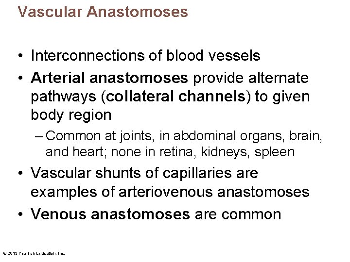 Vascular Anastomoses • Interconnections of blood vessels • Arterial anastomoses provide alternate pathways (collateral