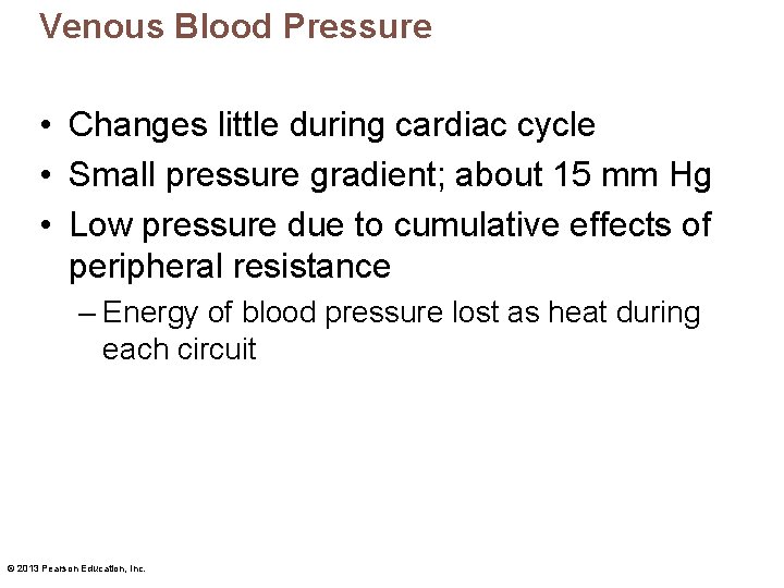Venous Blood Pressure • Changes little during cardiac cycle • Small pressure gradient; about
