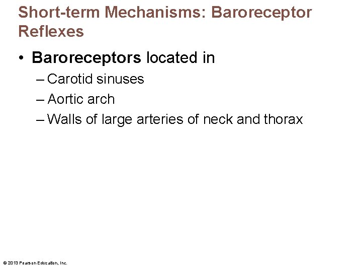 Short-term Mechanisms: Baroreceptor Reflexes • Baroreceptors located in – Carotid sinuses – Aortic arch