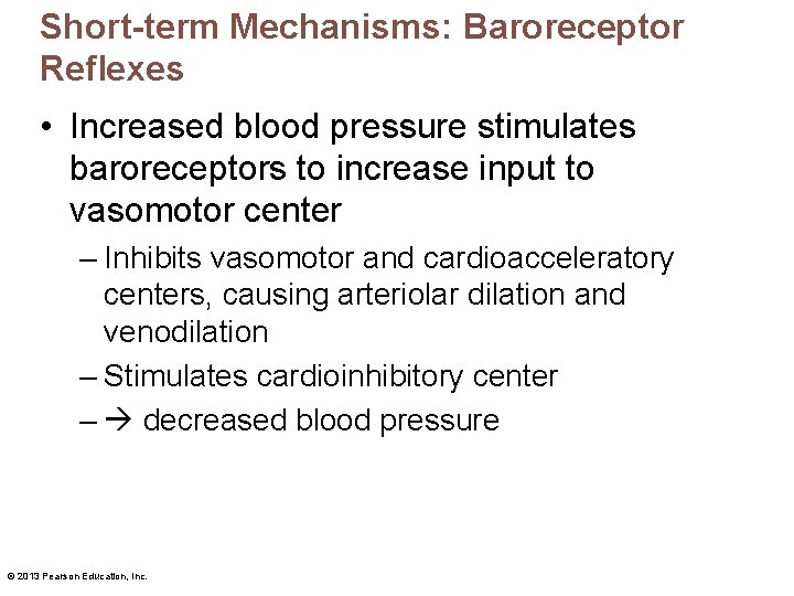 Short-term Mechanisms: Baroreceptor Reflexes • Increased blood pressure stimulates baroreceptors to increase input to