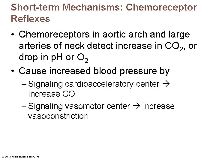 Short-term Mechanisms: Chemoreceptor Reflexes • Chemoreceptors in aortic arch and large arteries of neck