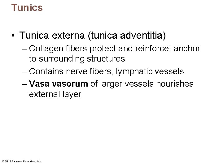 Tunics • Tunica externa (tunica adventitia) – Collagen fibers protect and reinforce; anchor to