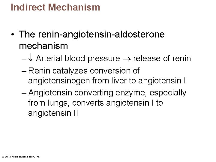 Indirect Mechanism • The renin-angiotensin-aldosterone mechanism – Arterial blood pressure release of renin –