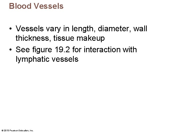 Blood Vessels • Vessels vary in length, diameter, wall thickness, tissue makeup • See