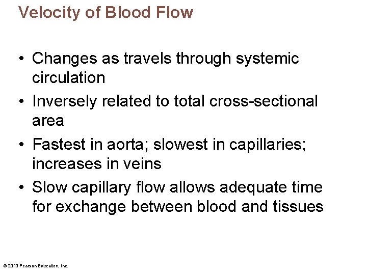 Velocity of Blood Flow • Changes as travels through systemic circulation • Inversely related